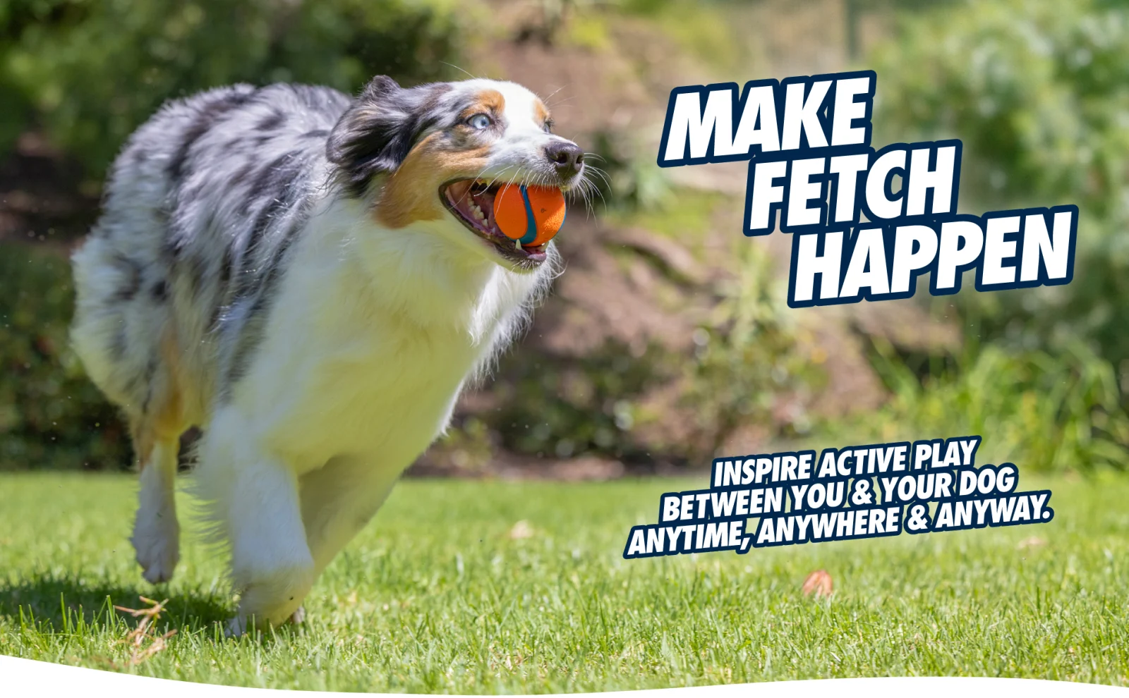 Chuckit! Fetch Medley S - Image 2