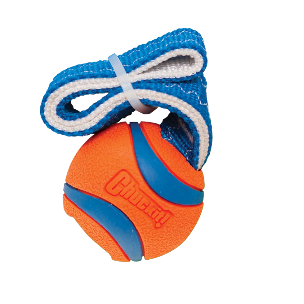 Chuckit! Ultra Tug S - Image 2