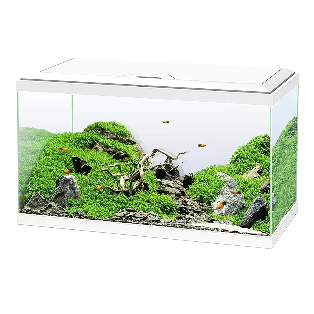 Ciano aquarium 60 led cf80 60x30x41cm wit