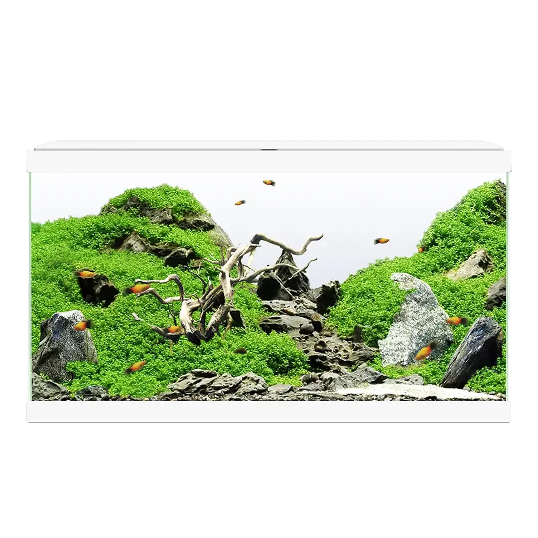 Ciano aquarium 60 led cf80 60x30x41cm wit - Image 2
