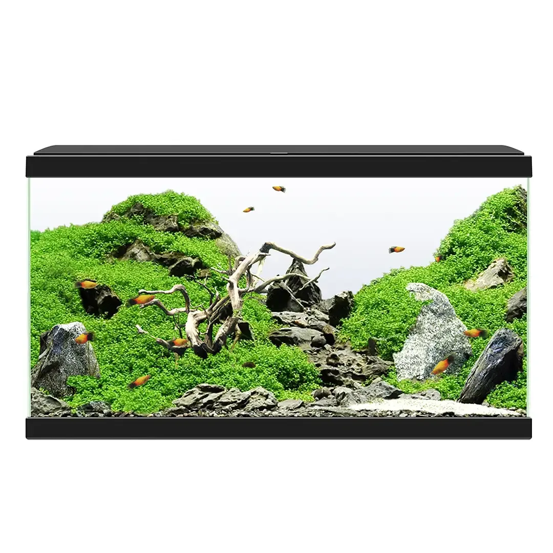 Ciano aquarium 60 led cf80 60x30x41cm zwart - Image 2