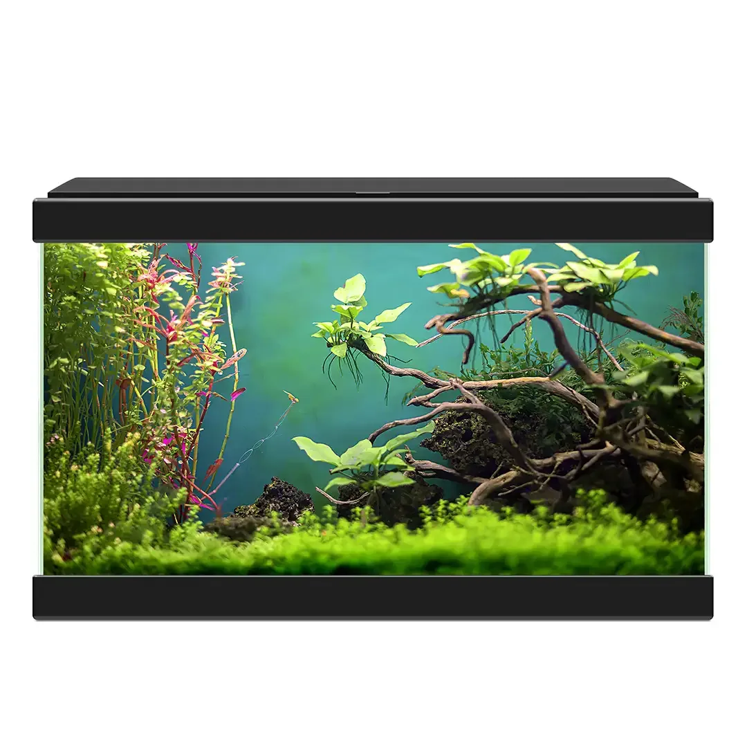 Ciano aquarium aqua 20 classic 40x20x24,8cm zwart - Image 2