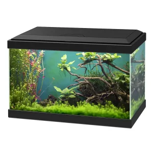 Ciano aquarium aqua 20 classic 40x20x24,8cm zwart