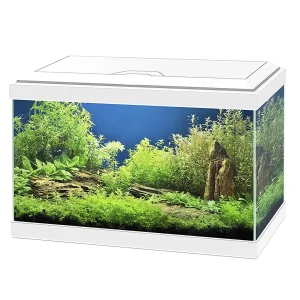 Ciano aquarium aqua 20 led 40x20x24,8cm wit