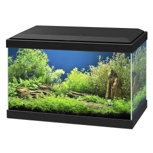Ciano aquarium aqua 20 led 40x20x24,8cm zwart