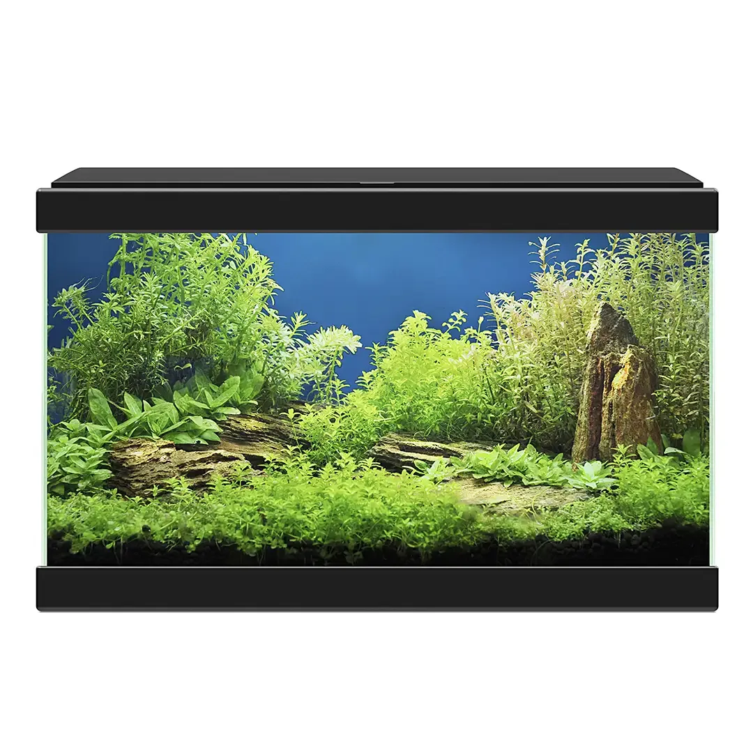 Ciano aquarium aqua 20 led 40x20x24,8cm zwart - Image 2