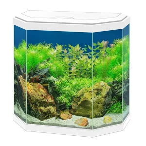 Ciano Aquarium Aqua 30 Hexa 40x20x45.5cm wit