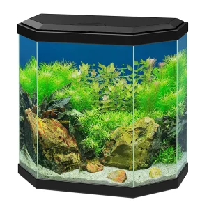 Ciano Aquarium Aqua 30 Hexa 40x20x45.5cm zwart