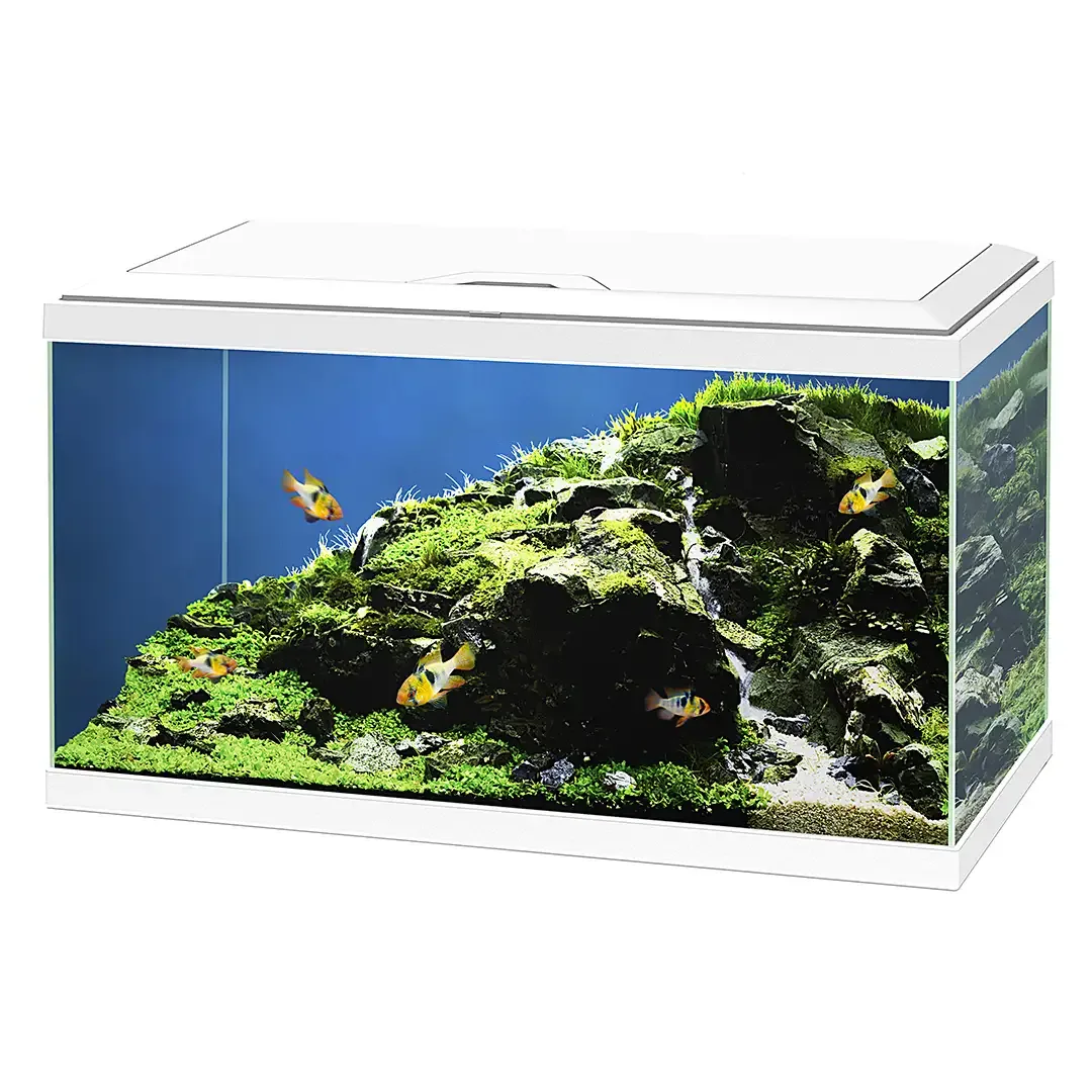 Ciano aquarium aqua 60 led bio cf150 60x30x41cm wit