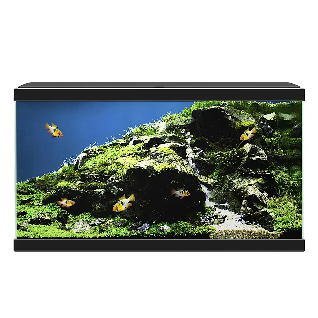 Ciano aquarium aqua 60 led bio cf150 60x30x41cm zwart - Image 2