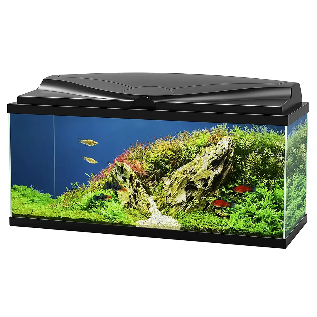 Ciano aquarium aqua 80 led bio cf150 80x30x41,5cm zwart