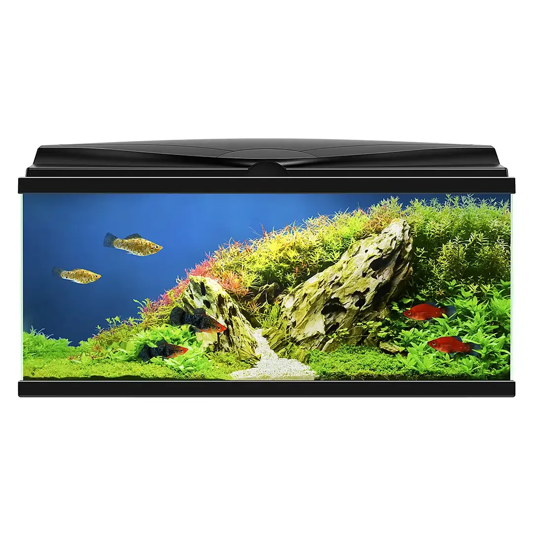 Ciano aquarium aqua 80 led bio cf150 80x30x41,5cm zwart - Image 2