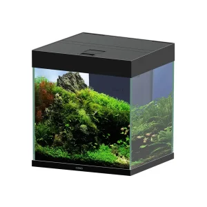 Ciano Aquarium emotions nature pro 40 NEW 39,8×39,8x43cm zwart
