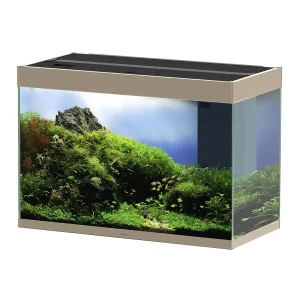 Ciano Aquarium emotions nature pro 80 NEW 81,2×40,2x56cm Mystic