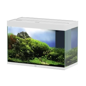 Ciano Aquarium emotions nature pro 80 NEW 81,2×40,2x56cm wit