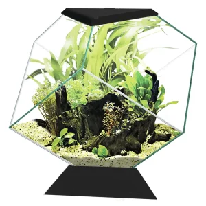 Ciano aquarium nexus 14c 35,4×41,8×36,8cm zwart