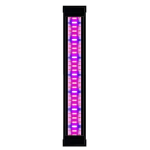 Ciano led plants emotions CLE 40 37x7x2cm zwart