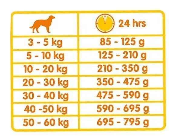 Classic Duo Kroc (20 kg) - Image 2