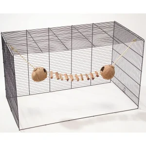 Coconut GlobeHouse met Ladder