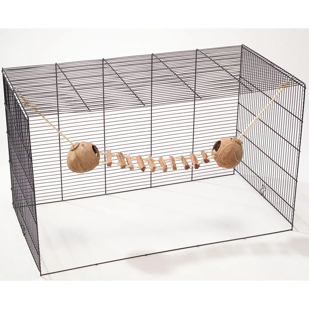 Coconut GlobeHouse met Ladder