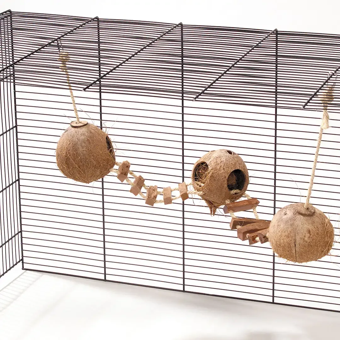 Coconut GlobeHouse met Ladder met touw