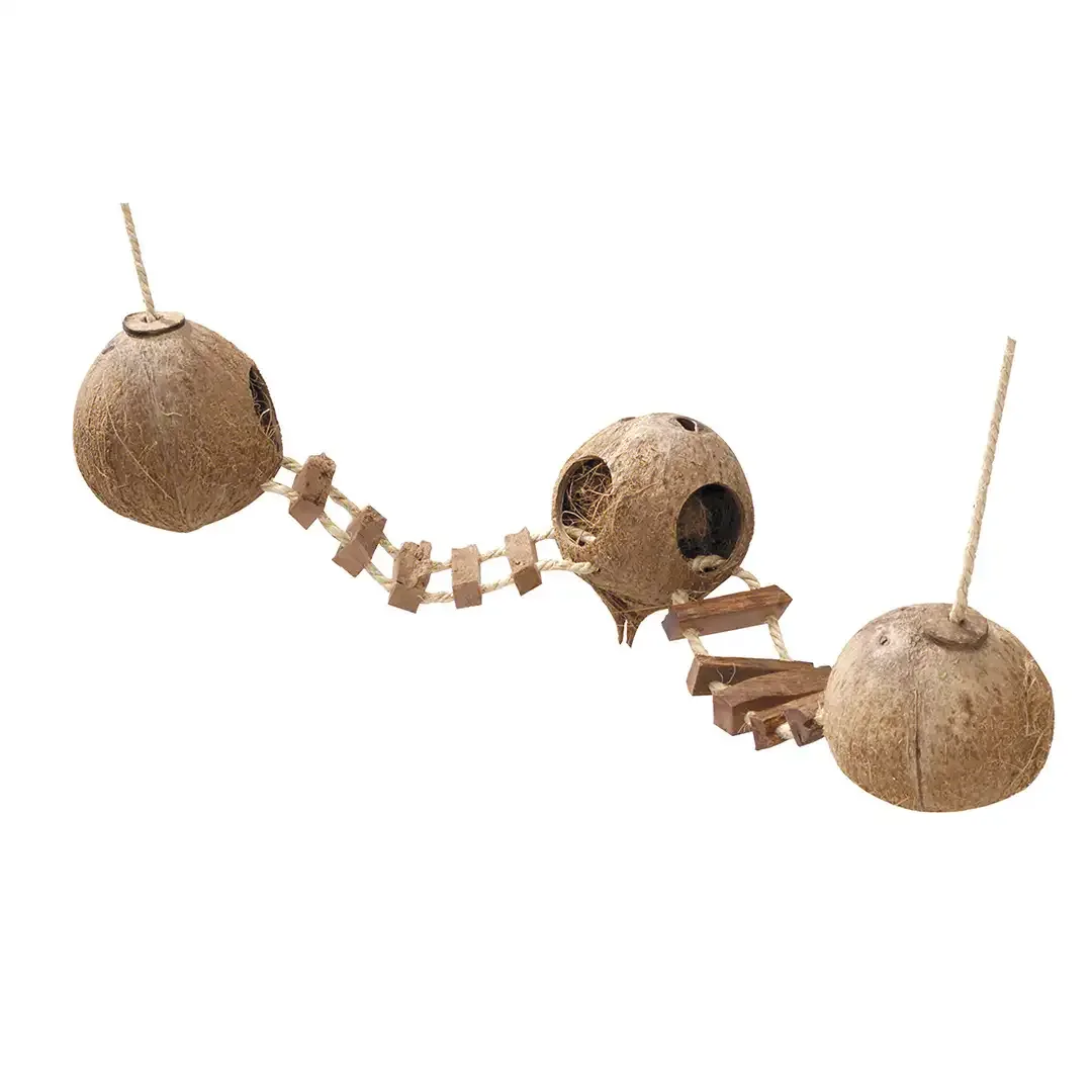 Coconut GlobeHouse met Ladder met touw - Image 2