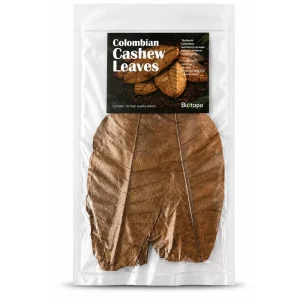 Colombian cashew leaves
