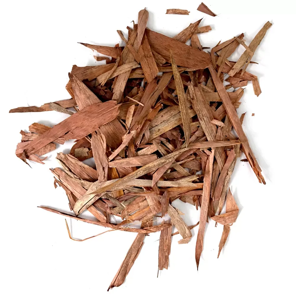 Colombian guadua leaves - Image 2