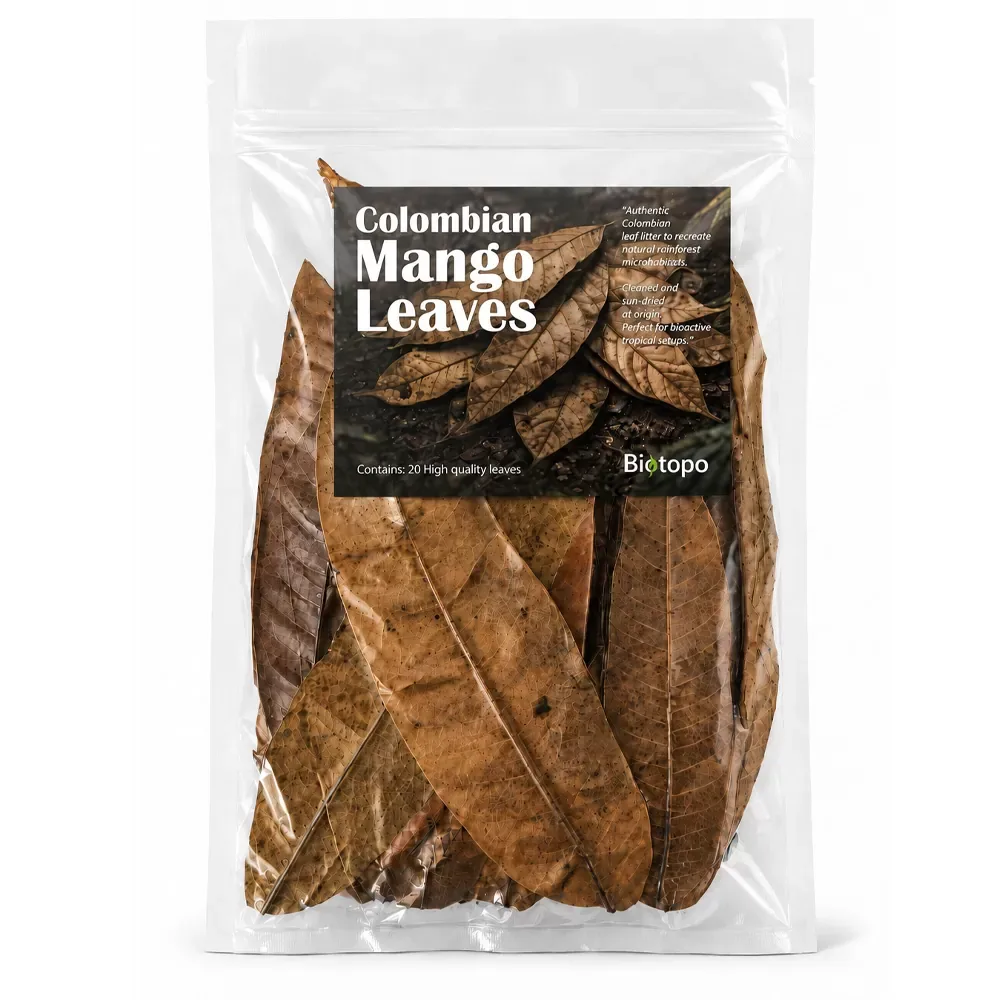 Colombian mango leaves