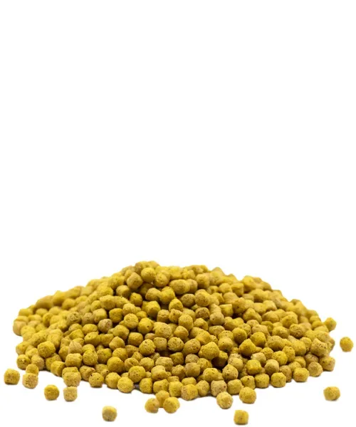 Colombine Success Corn - Image 2