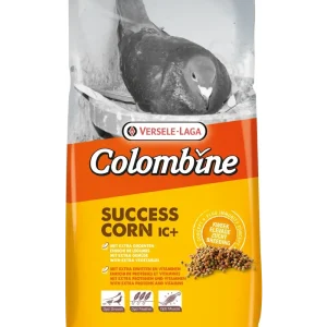 Colombine Success Corn