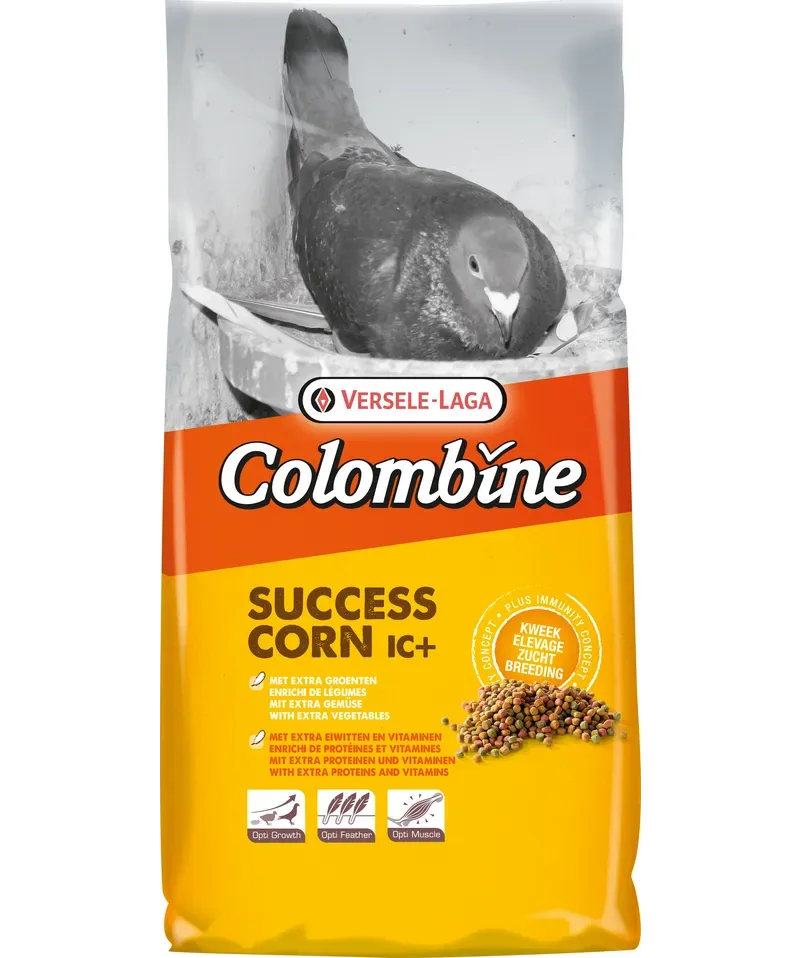 Colombine Success Corn