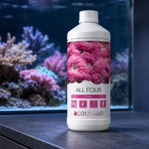 Colombo Marine All Four