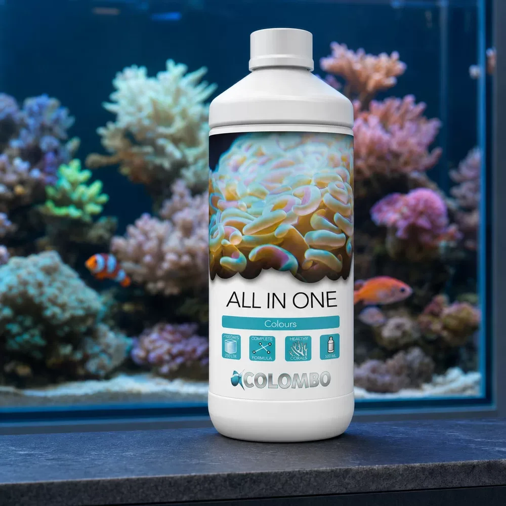 Colombo Marine Colour All In One