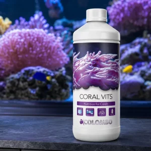 Colombo Marine Coral Vits