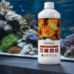 Colombo Marine Femsal
