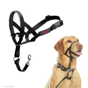 Company of Animals Halti Headcollar - Zwart