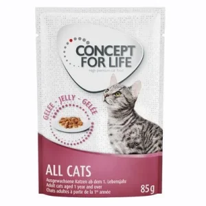 Concept for Life All Cats - in Gelei Kattenvoer