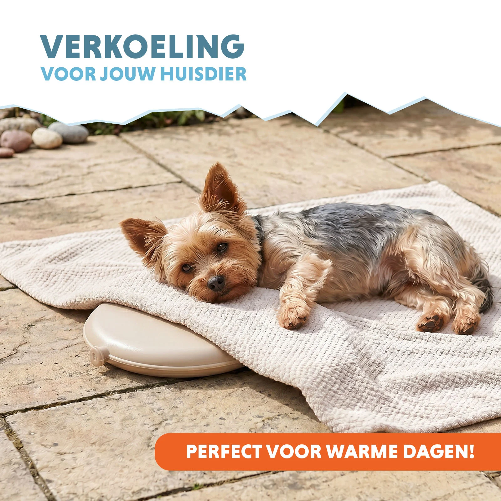 Coolpets Cooling Disc Beige - Image 2