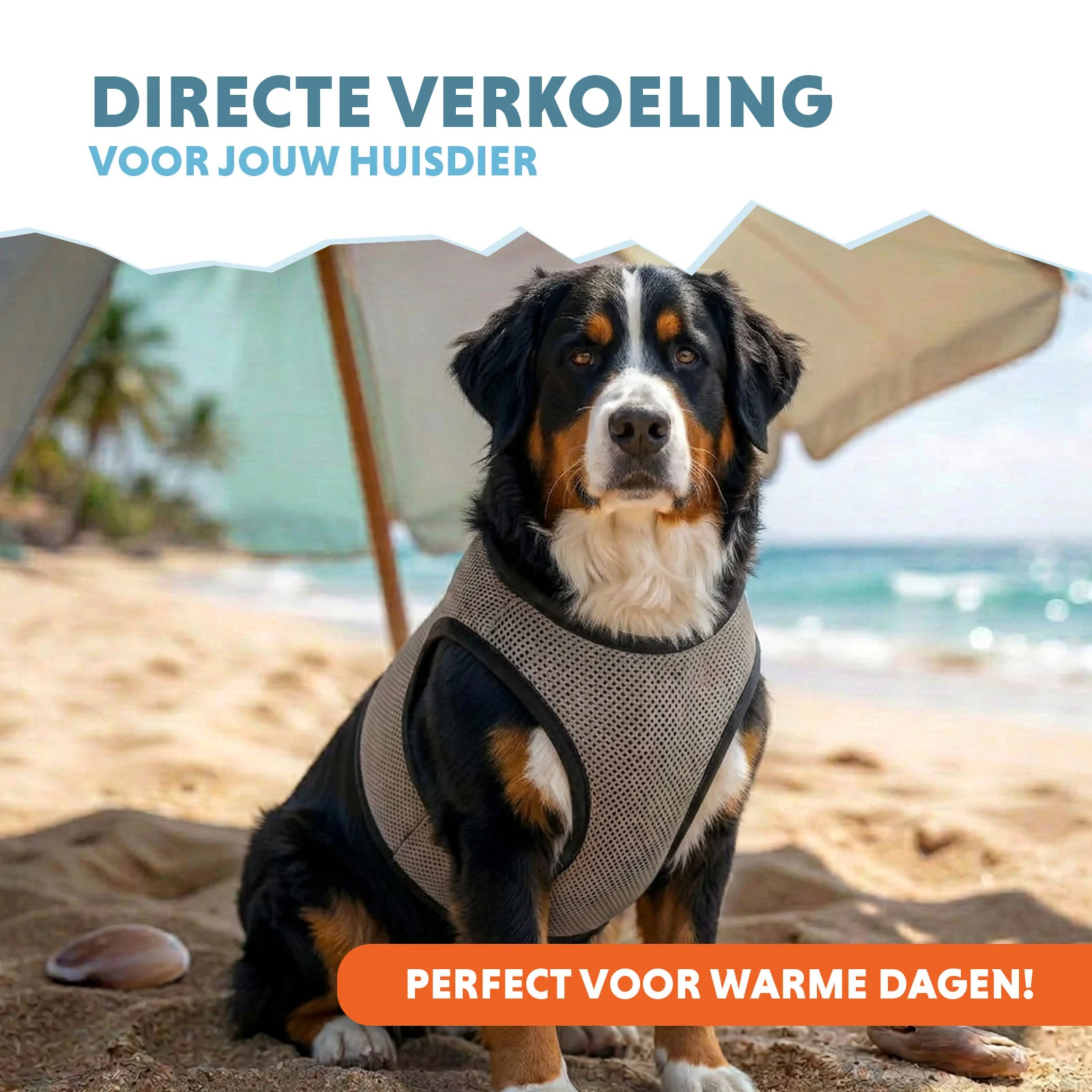 Coolpets Cooling Vest XL (back size 40 cm) - Image 2