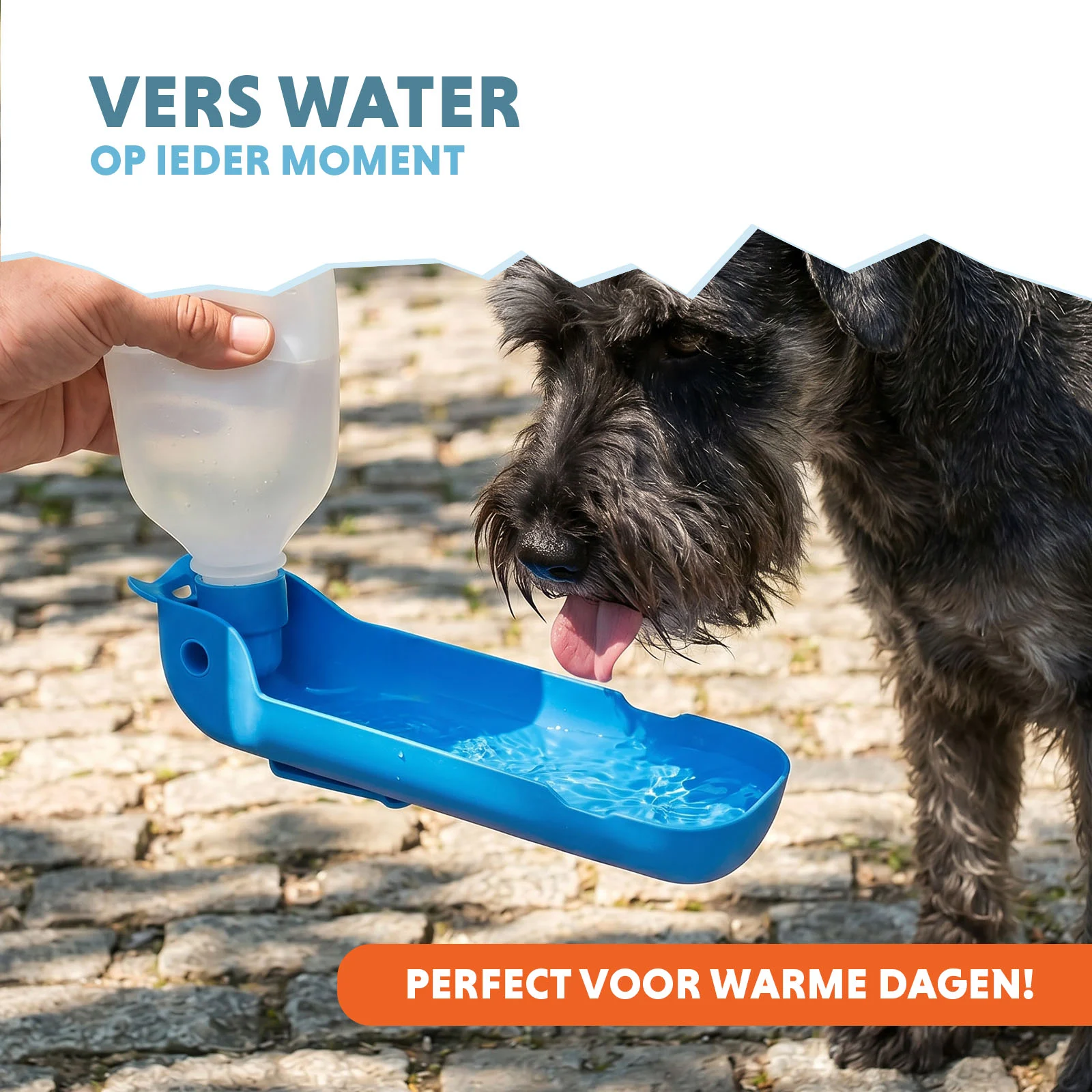 CoolPets Fresh 2GO 300 ml - Image 2