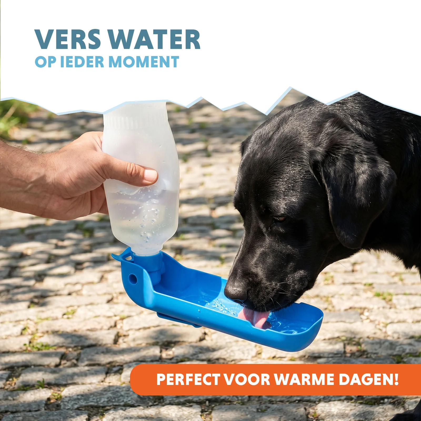 CoolPets Fresh 2GO 500 ml - Image 2
