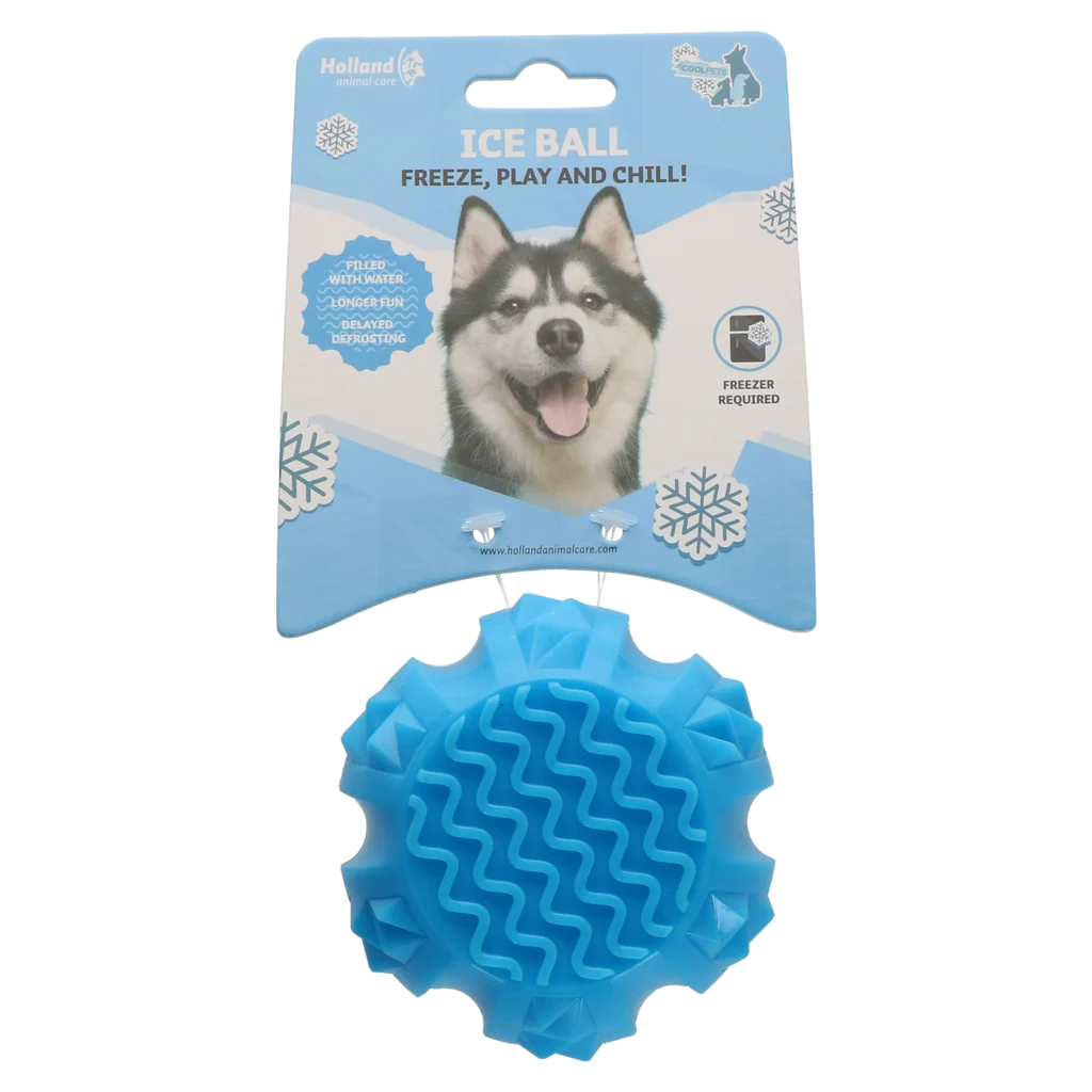 Coolpets Ice Ball