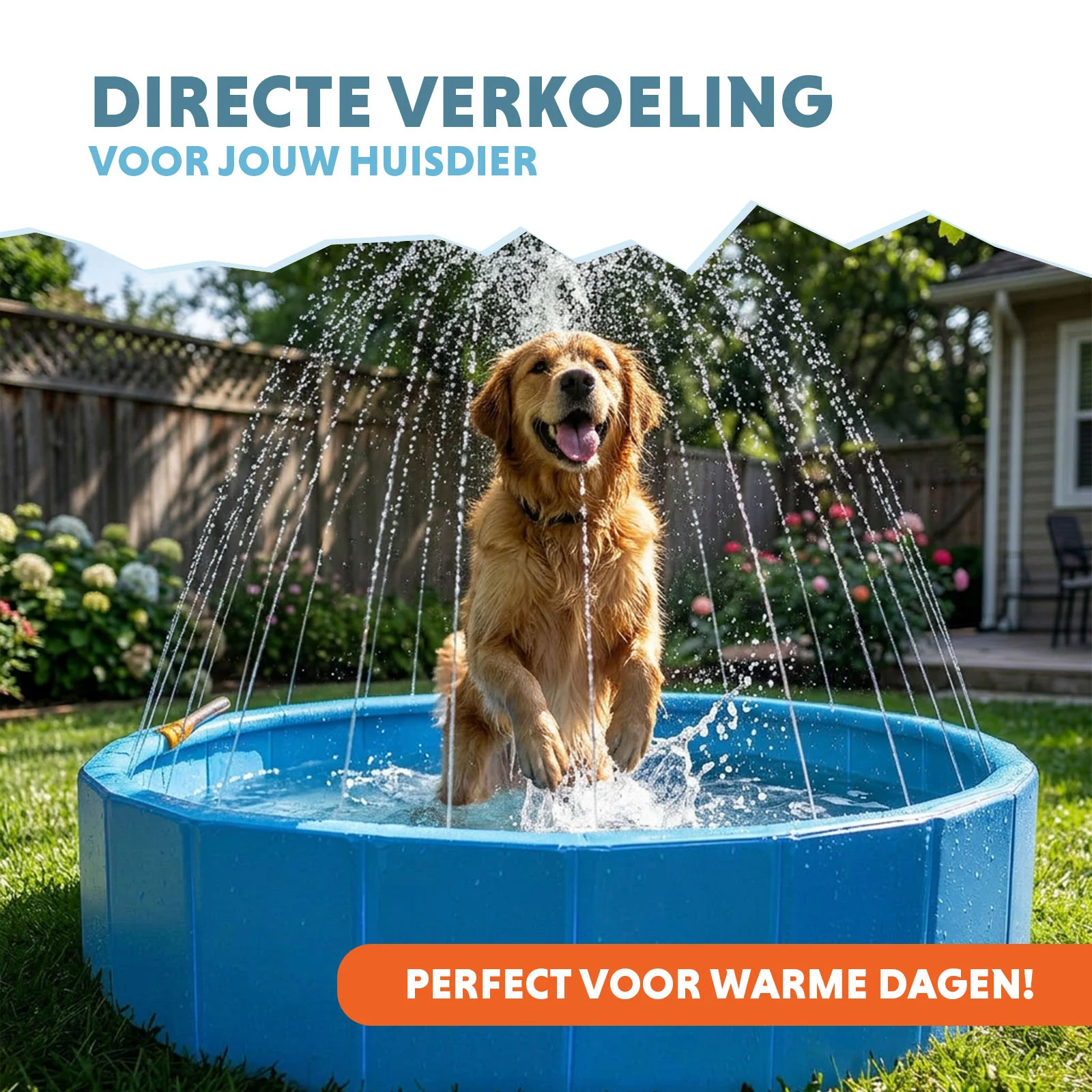Coolpets Splash Sprinkler Pool - Image 2