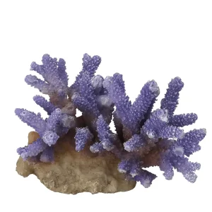 Coraal acropora 15,5x12x10CM paars