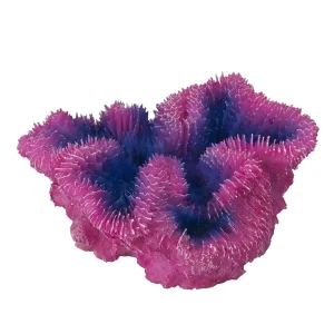 Coraal symphylia 12x5x12CM paars