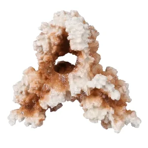 Coral M – 19,5x11x17,5CM