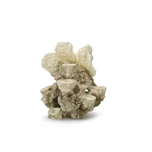 Coral reef ML – 21x18x31CM