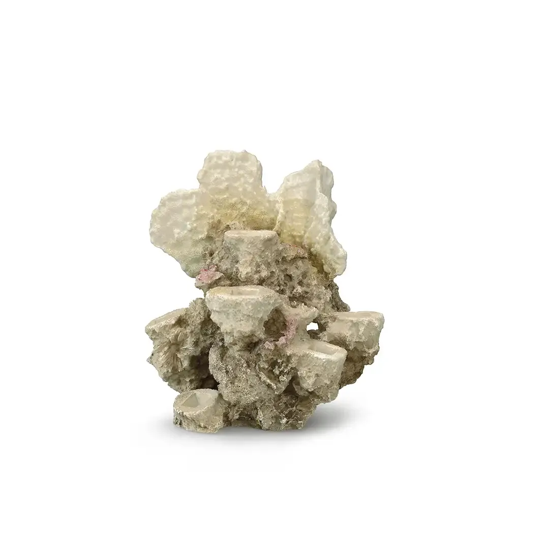 Coral reef ML – 21x18x31CM