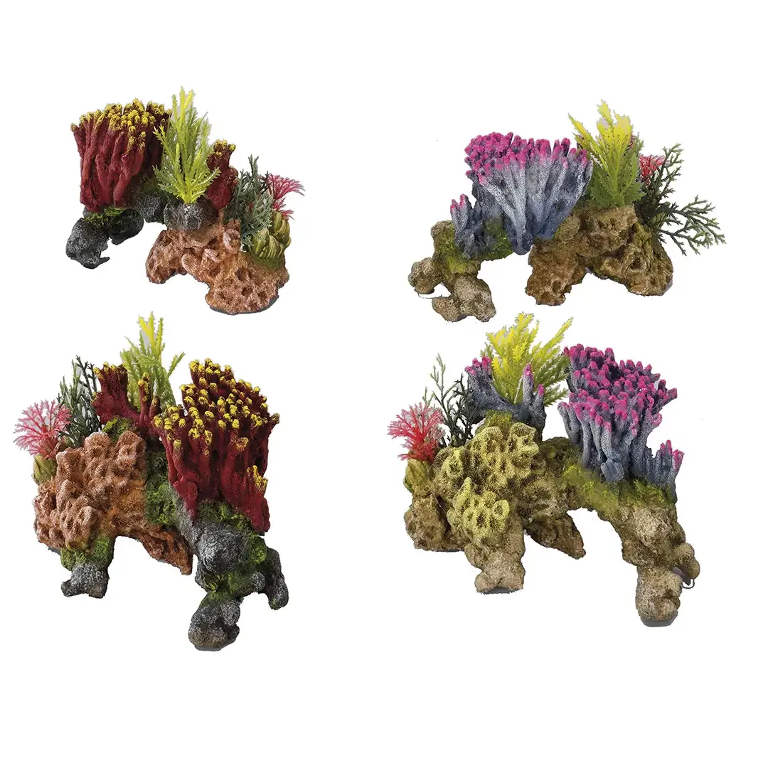 Coralset Medio 15x9x11CM